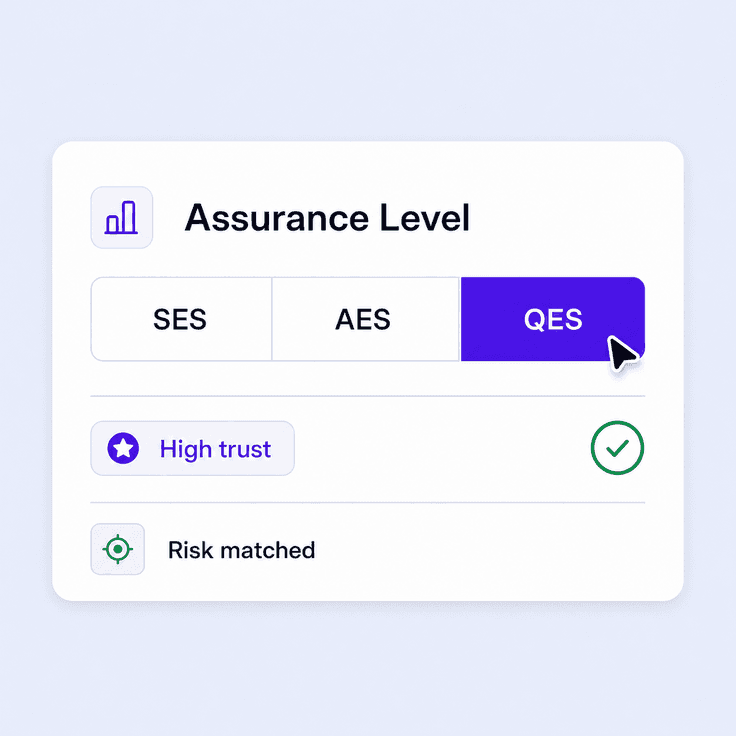 Signature assurance levels from standard to qualified