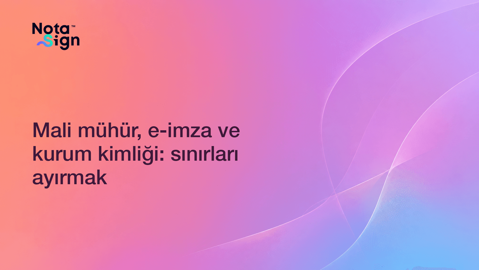 Mali mühür, e-imza ve kurum kimliği: sınırları ayırmak
