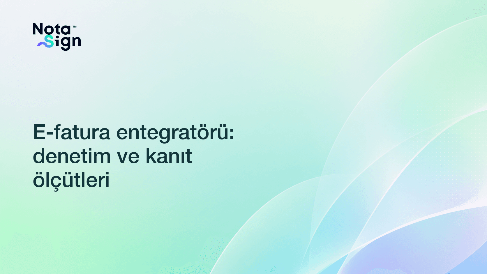 E-fatura entegratörü: denetim ve kanıt ölçütleri