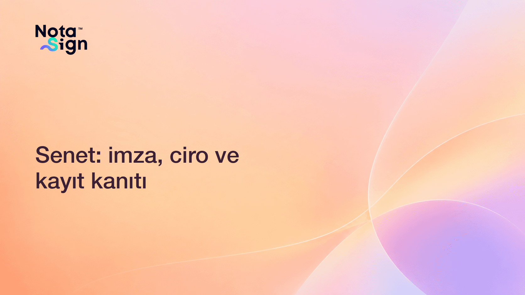 Senet: imza, ciro ve kayıt kanıtı