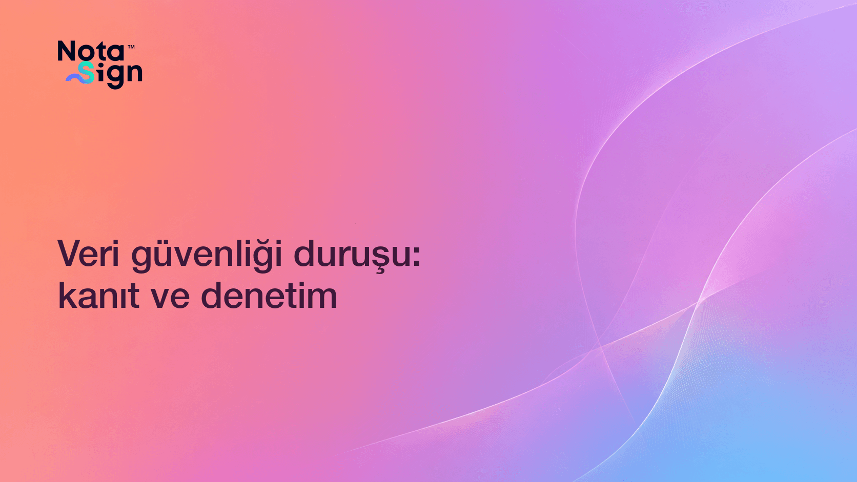 Veri güvenliği duruşu: kanıt ve denetim
