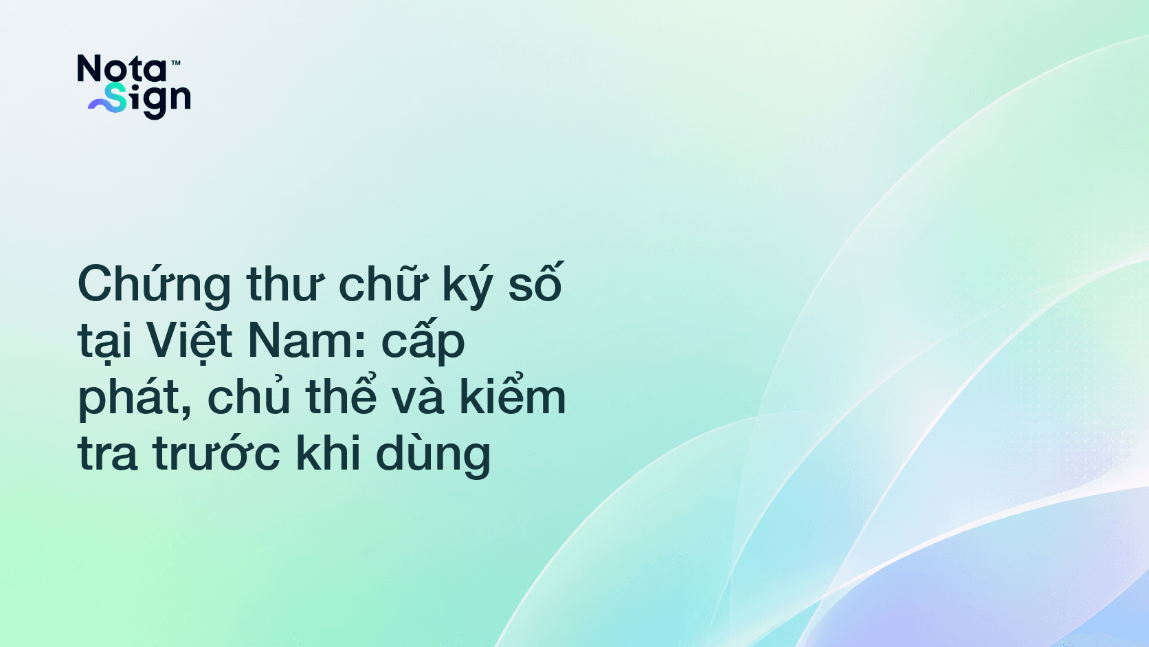 Chứng thư chữ ký số tại Việt Nam: cấp phát, chủ thể và kiểm tra trước khi dùng